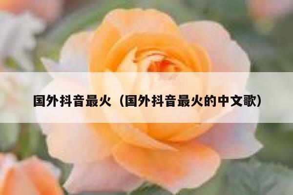 国外抖音最火（国外抖音最火的中文歌） 第1张