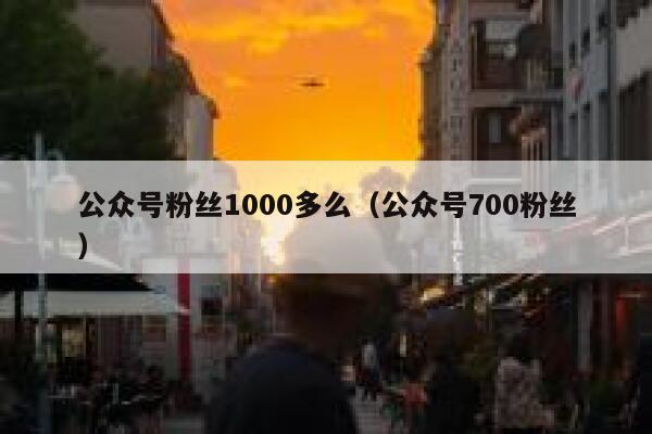 公众号粉丝1000多么（公众号700粉丝） 第1张