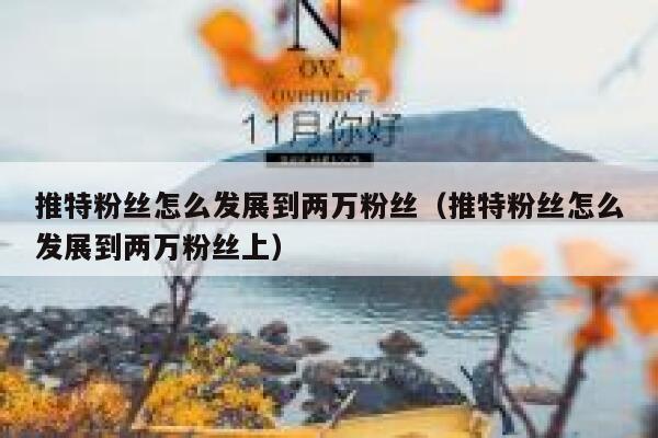 推特粉丝怎么发展到两万粉丝（推特粉丝怎么发展到两万粉丝上） 第1张