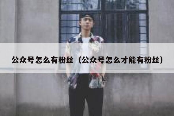 公众号怎么有粉丝(公众号怎么才能有粉丝) 第1张 公众号怎么有粉丝(公众号怎么才能有粉丝) 第1张