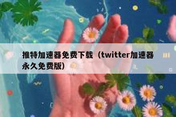 推特加速器免费下载（twitter加速器永久免费版） 第1张