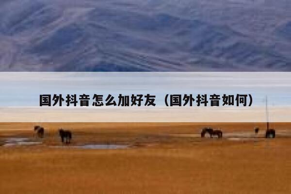 国外抖音怎么加好友（国外抖音如何） 第1张