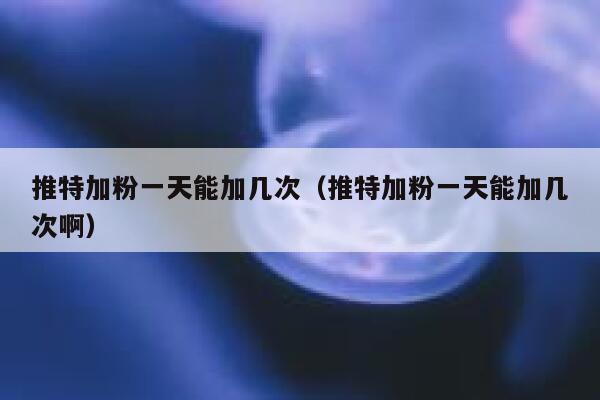 推特加粉一天能加几次（推特加粉一天能加几次啊） 第1张