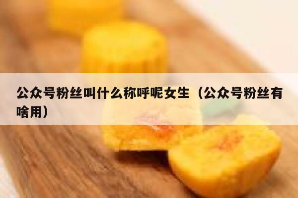 公众号粉丝叫什么称呼呢女生(公众号粉丝有啥用) 第1张 公众号粉丝叫什么称呼呢女生(公众号粉丝有啥用) 第1张