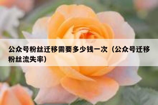 公众号粉丝迁移需要多少钱一次（公众号迁移粉丝流失率） 第1张