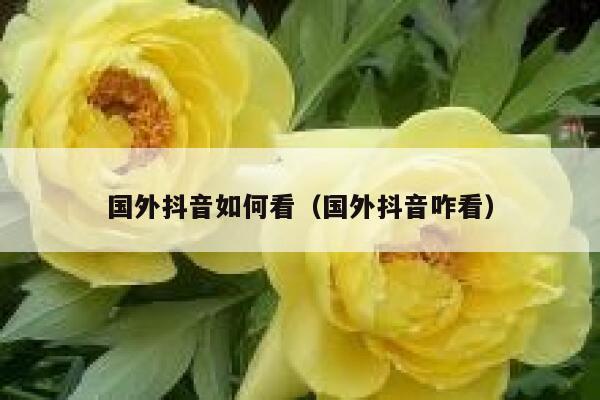 国外抖音如何看（国外抖音咋看） 第1张