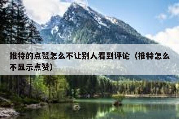 推特的点赞怎么不让别人看到评论（推特怎么不显示点赞） 第1张