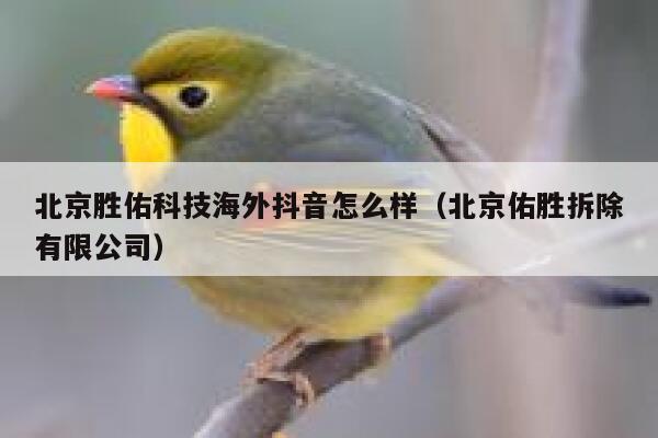 北京胜佑科技海外抖音怎么样(北京佑胜拆除有限公司) 第1张 北京胜佑科技海外抖音怎么样(北京佑胜拆除有限公司) 第1张