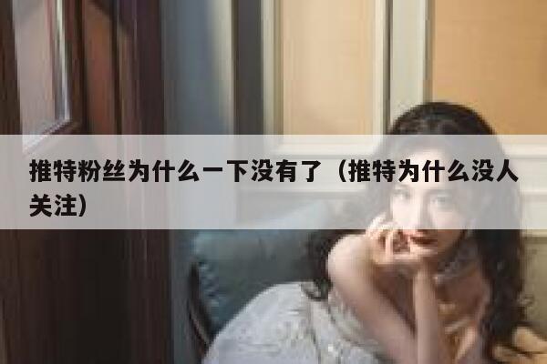 推特粉丝为什么一下没有了（推特为什么没人关注） 第1张