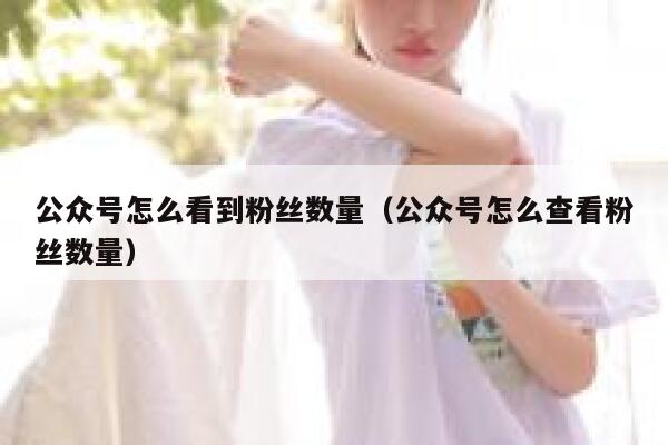公众号怎么看到粉丝数量（公众号怎么查看粉丝数量） 第1张