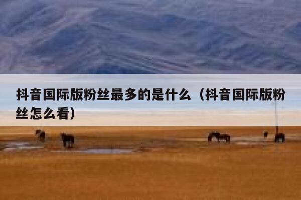 抖音国际版粉丝最多的是什么（抖音国际版粉丝怎么看） 第1张