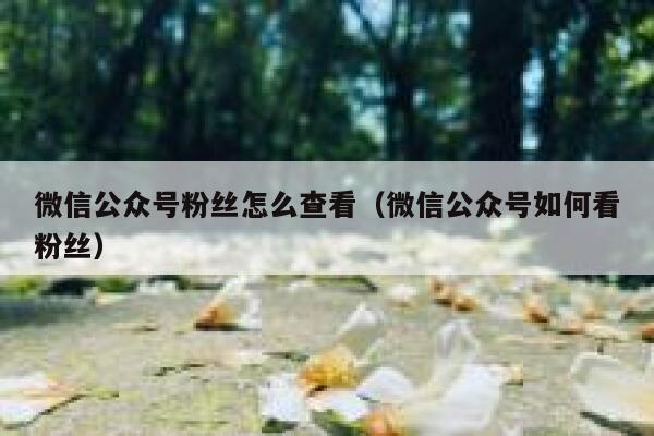 微信公众号粉丝怎么查看（微信公众号如何看粉丝） 第1张