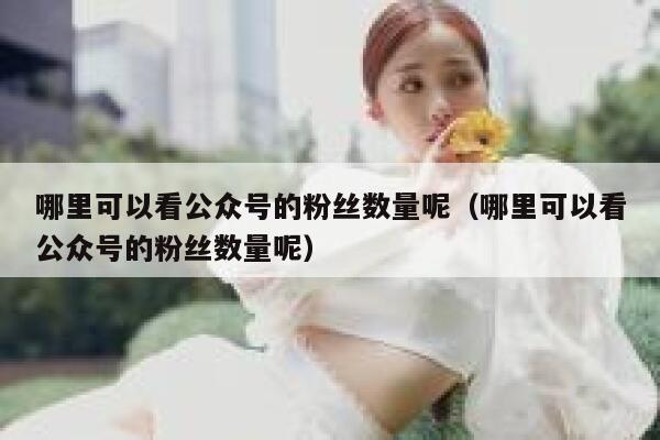 哪里可以看公众号的粉丝数量呢（哪里可以看公众号的粉丝数量呢） 第1张