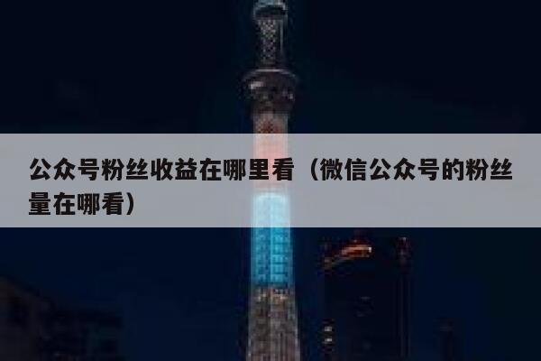 公众号粉丝收益在哪里看（微信公众号的粉丝量在哪看） 第1张