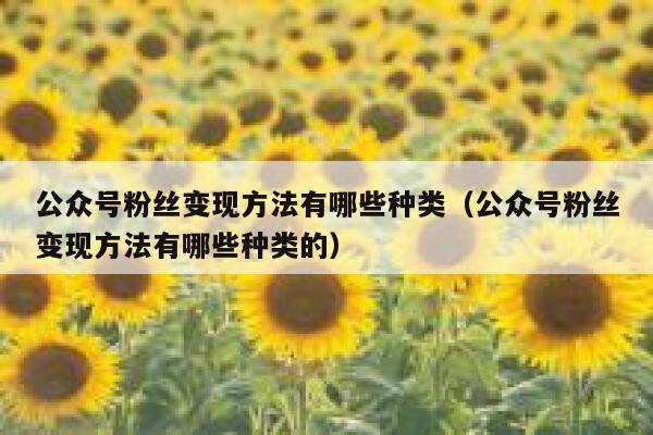 公众号粉丝变现方法有哪些种类（公众号粉丝变现方法有哪些种类的） 第1张