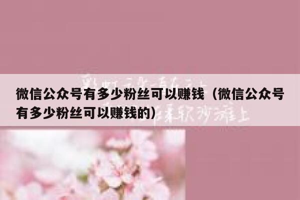 微信公众号有多少粉丝可以赚钱（微信公众号有多少粉丝可以赚钱的） 第1张