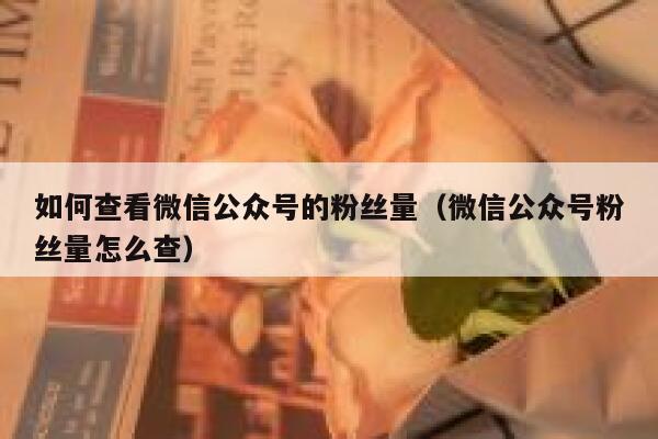 如何查看微信公众号的粉丝量（微信公众号粉丝量怎么查） 第1张