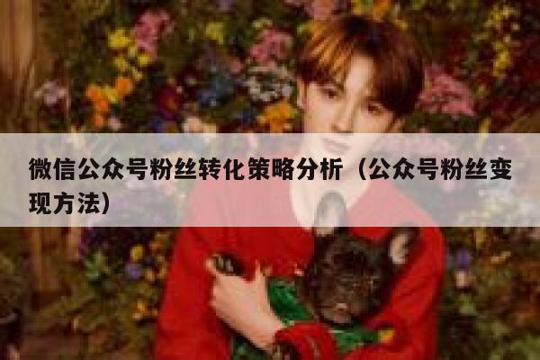 微信公众号粉丝转化策略分析(公众号粉丝变现方法) 第1张 微信公众号粉丝转化策略分析(公众号粉丝变现方法) 第1张