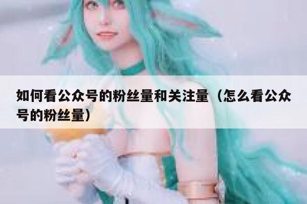 如何看公众号的粉丝量和关注量（怎么看公众号的粉丝量） 第1张