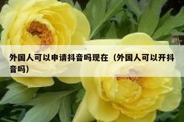 外国人可以申请抖音吗现在（外国人可以开抖音吗） 第1张
