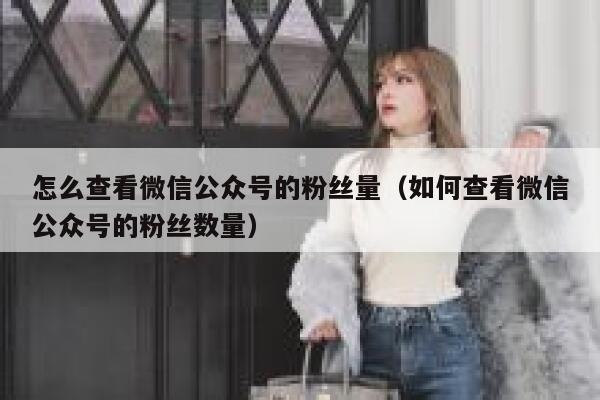 怎么查看微信公众号的粉丝量（如何查看微信公众号的粉丝数量） 第1张