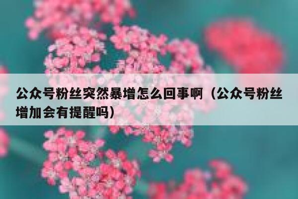 公众号粉丝突然暴增怎么回事啊（公众号粉丝增加会有提醒吗） 第1张