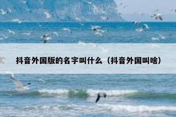 抖音外国版的名字叫什么（抖音外国叫啥） 第1张