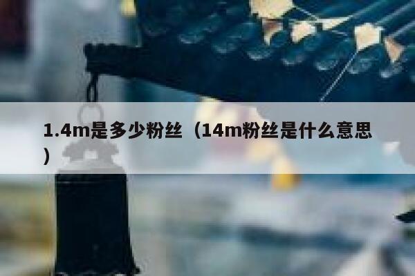 1.4m是多少粉丝（14m粉丝是什么意思） 第1张