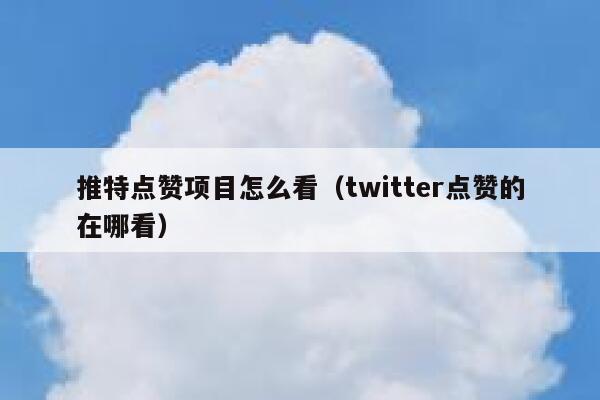推特点赞项目怎么看（twitter点赞的在哪看） 第1张