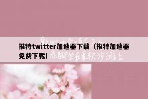 推特twitter加速器下载（推特加速器免费下载） 第1张