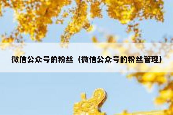 微信公众号的粉丝（微信公众号的粉丝管理） 第1张