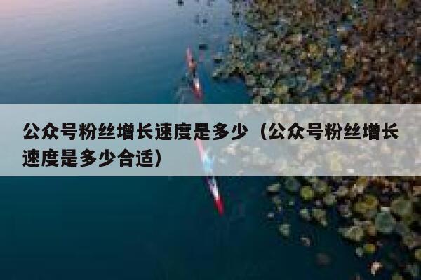 公众号粉丝增长速度是多少（公众号粉丝增长速度是多少合适） 第1张