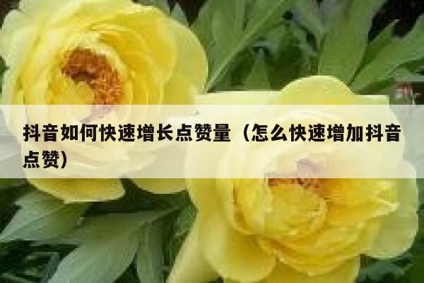 抖音如何快速增长点赞量（怎么快速增加抖音点赞） 第1张