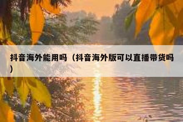 抖音海外能用吗（抖音海外版可以直播带货吗） 第1张