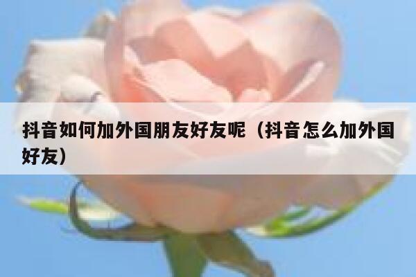 抖音如何加外国朋友好友呢（抖音怎么加外国好友） 第1张