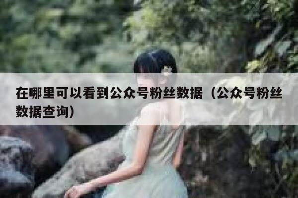 在哪里可以看到公众号粉丝数据（公众号粉丝数据查询） 第1张