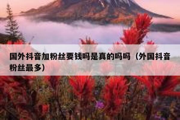 国外抖音加粉丝要钱吗是真的吗吗（外国抖音粉丝最多） 第1张