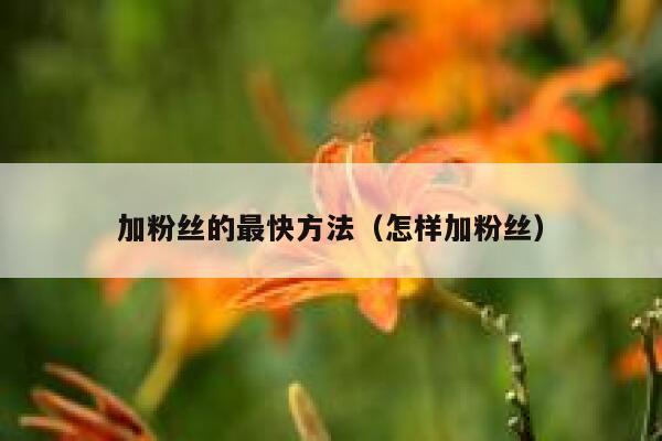 加粉丝的最快方法（怎样加粉丝） 第1张