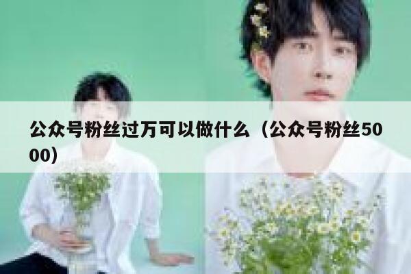 公众号粉丝过万可以做什么（公众号粉丝5000） 第1张