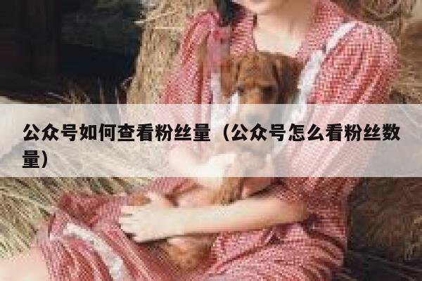 公众号如何查看粉丝量(公众号怎么看粉丝数量) 第1张 公众号如何查看粉丝量(公众号怎么看粉丝数量) 第1张