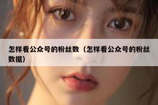 怎样看公众号的粉丝数(怎样看公众号的粉丝数据) 第1张 怎样看公众号的粉丝数(怎样看公众号的粉丝数据) 第1张