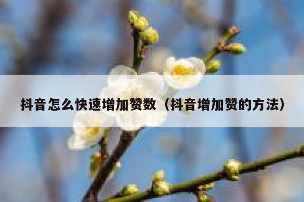 抖音怎么快速增加赞数（抖音增加赞的方法） 第1张