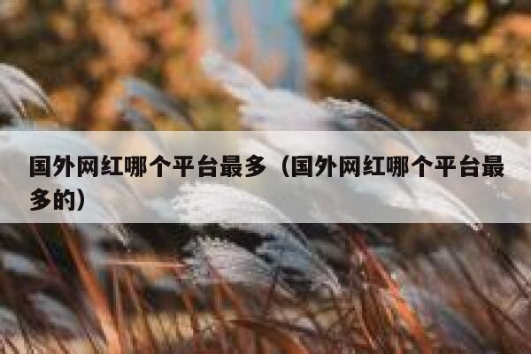 国外网红哪个平台最多（国外网红哪个平台最多的） 第1张