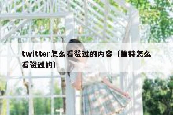twitter怎么看赞过的内容（推特怎么看赞过的） 第1张