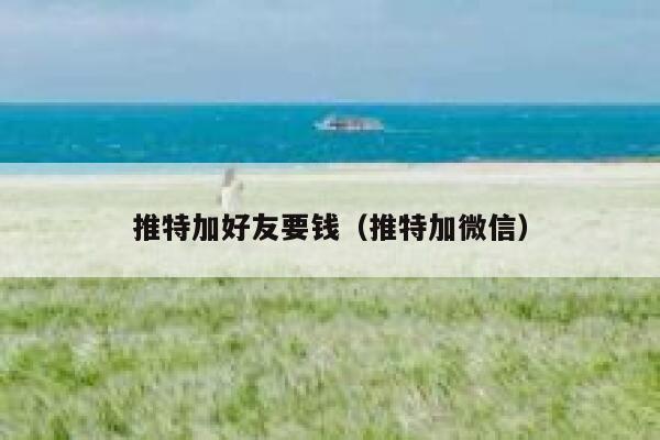 推特加好友要钱(推特加微信) 第1张 推特加好友要钱(推特加微信) 第1张