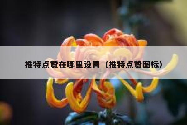 推特点赞在哪里设置（推特点赞图标） 第1张