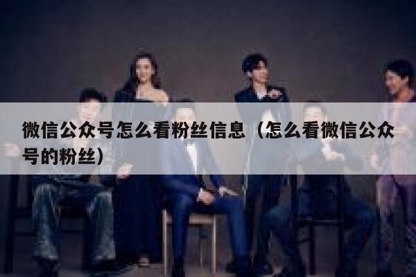 微信公众号怎么看粉丝信息（怎么看微信公众号的粉丝） 第1张