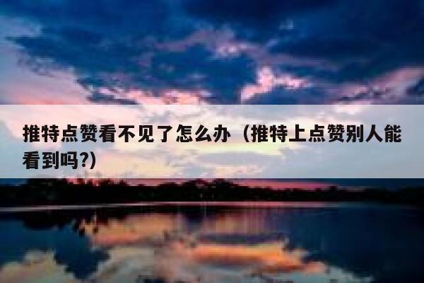 推特点赞看不见了怎么办（推特上点赞别人能看到吗?） 第1张