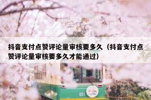 抖音支付点赞评论量审核要多久（抖音支付点赞评论量审核要多久才能通过） 第1张