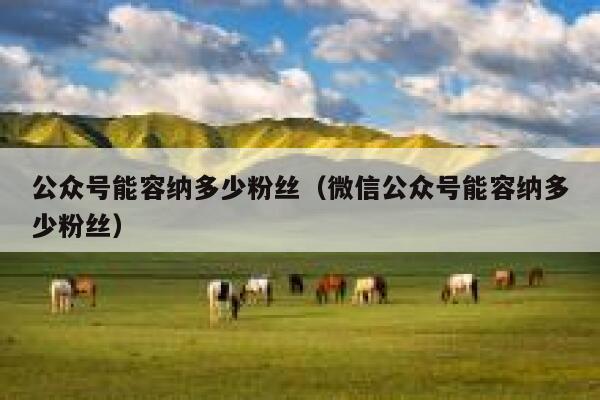 公众号能容纳多少粉丝（微信公众号能容纳多少粉丝） 第1张